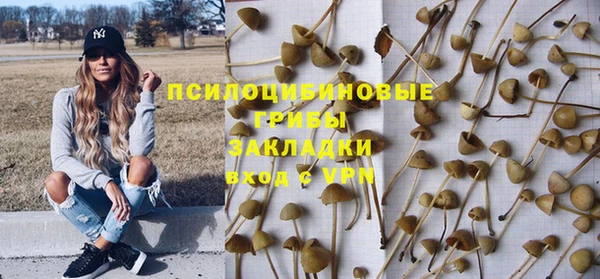 прущие крисы Рославль