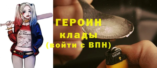 индика Беломорск