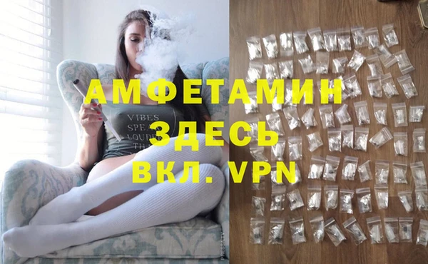 индика Беломорск