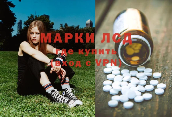 индика Беломорск