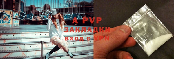 индика Беломорск