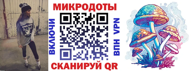 это телеграм  Краснообск  Псилоцибиновые грибы Psilocybine cubensis 
